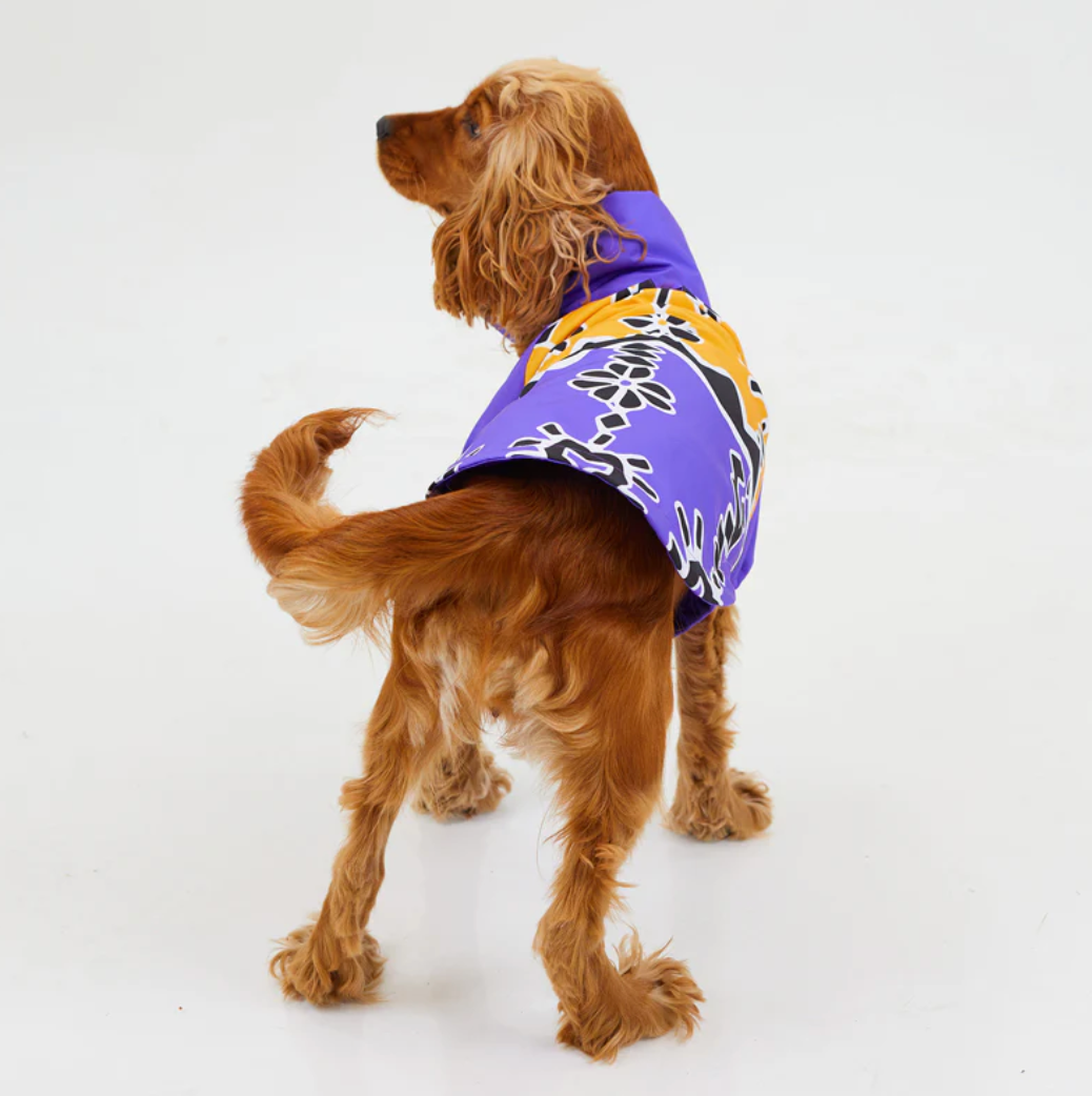 RainWoof Regenjacke